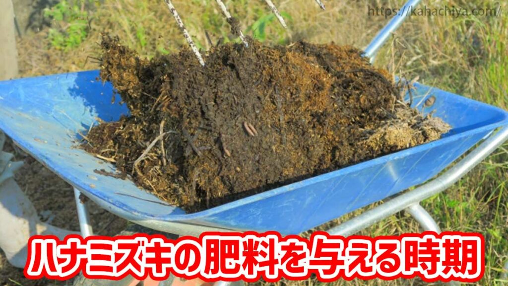 ハナミズキの肥料を与える時期