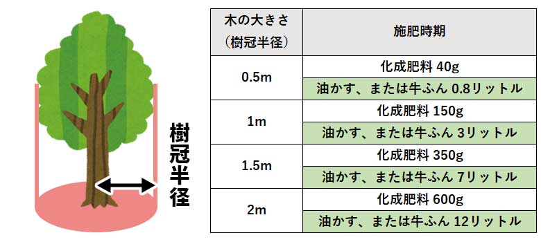 ハナミズキの肥料を与える量