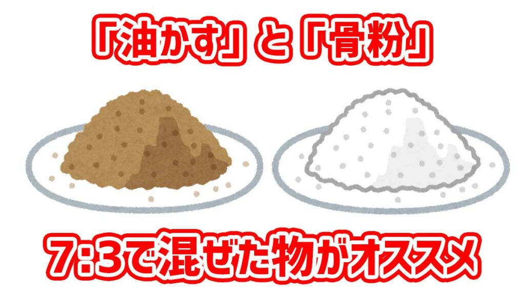 藤のオススメ肥料は「油かす」と「骨粉」