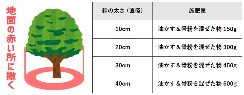 藤の肥料をあげる量