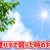 樹が夏バテで弱った時の対処法