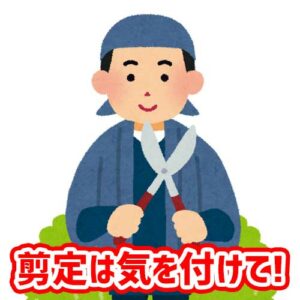 剪定は気を付けて