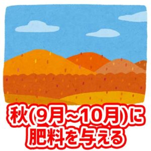 秋（9月～10月）に肥料を与える