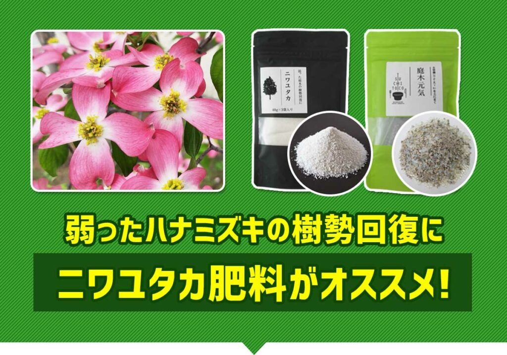 弱ったハナミズキの樹勢回復にニワユタカ肥料セットがオススメ