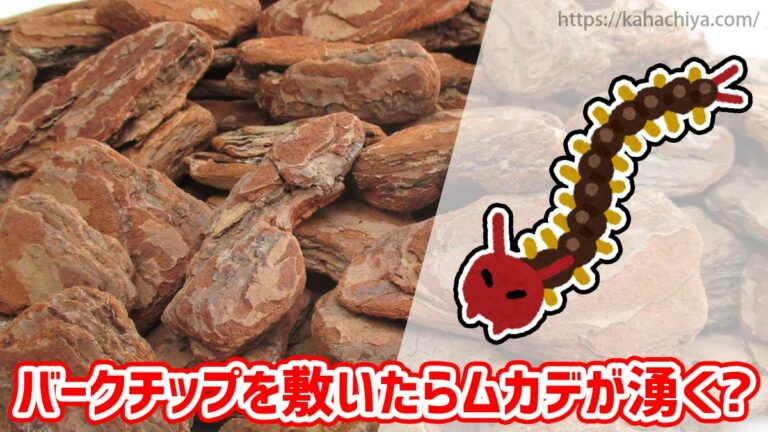 バークチップを敷いたらムカデが湧く？チップが原因で湧くことはありません！