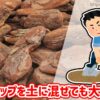 バークチップを土に混ぜても大丈夫？