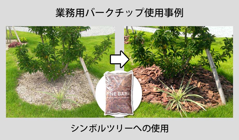 業務用バークチップのシンボルツリーへの使用事例