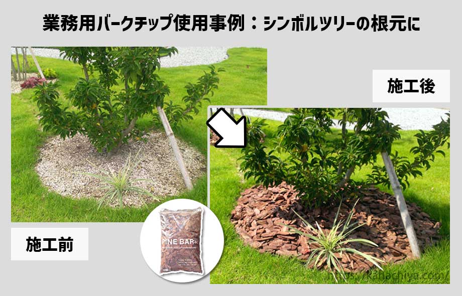 業務用バークチップをシンボルツリーの根元に使用した事例