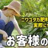 ニワユタカ肥料セットを実際に使用したお客様の声