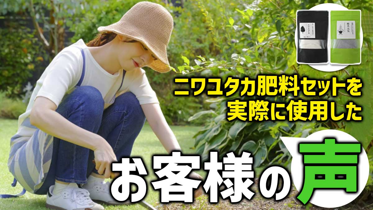ニワユタカ肥料セットを実際に使用したお客様の声