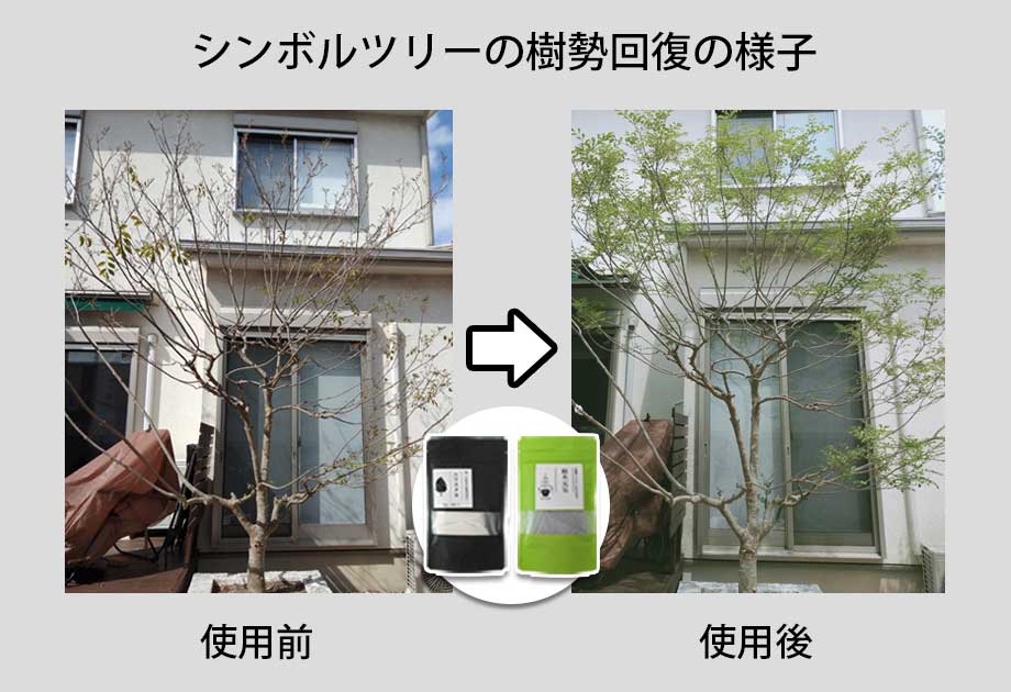 お庭のシンボルツリーに「ニワユタカ肥料セット」を使用した事例