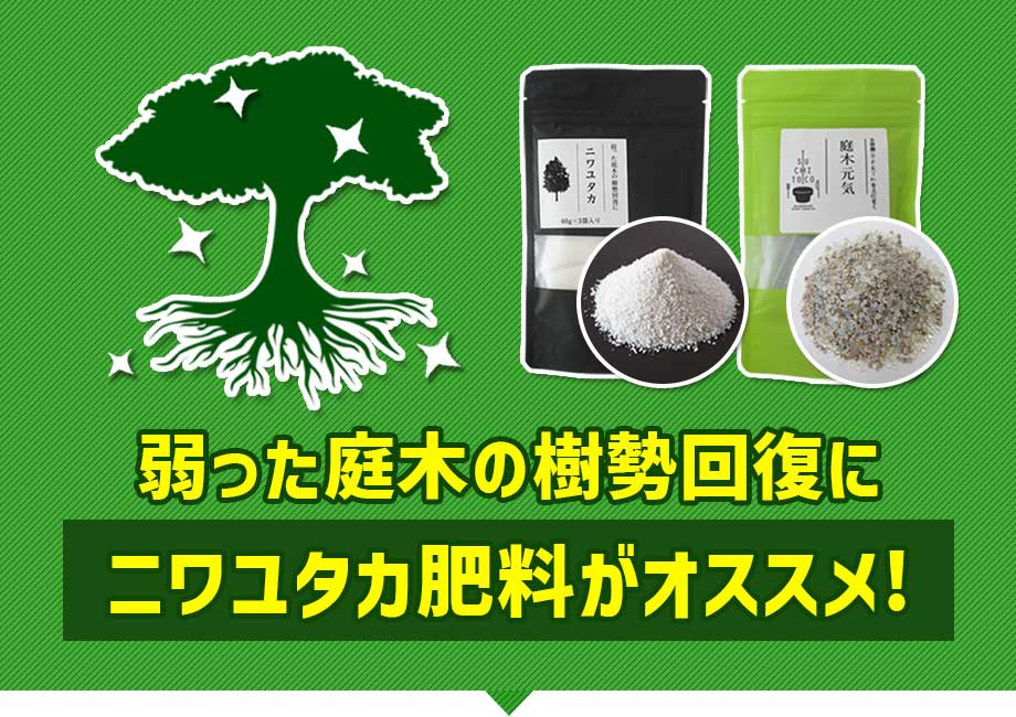 弱った庭木の樹勢回復にニワユタカ肥料がオススメ