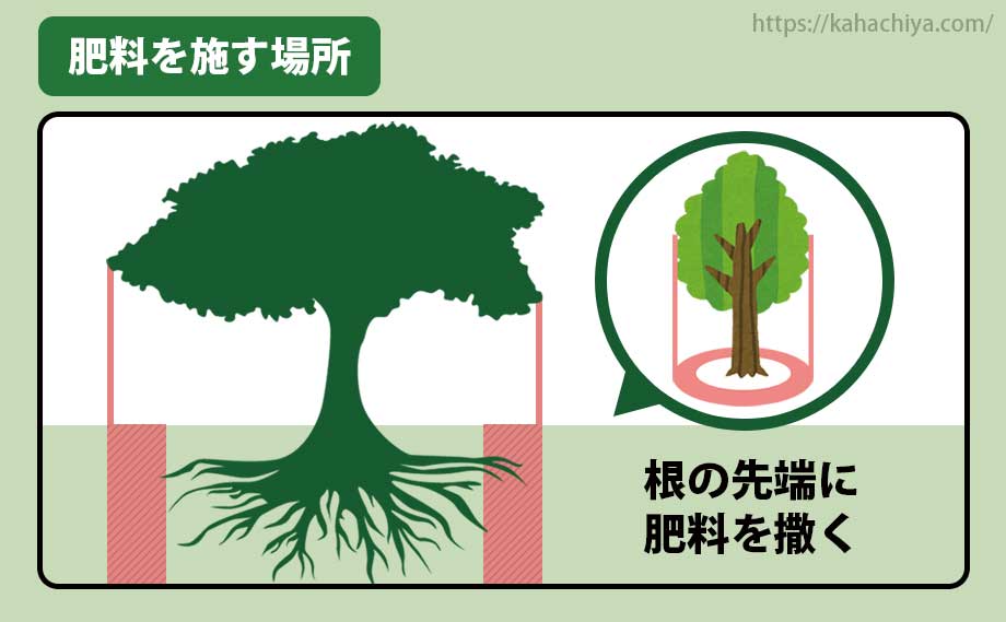 ニワユタカ肥料を施す場所