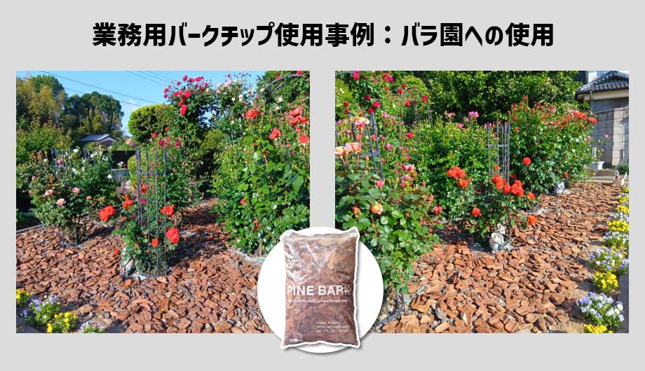 業務用バークチップをバラ園に使用した事例
