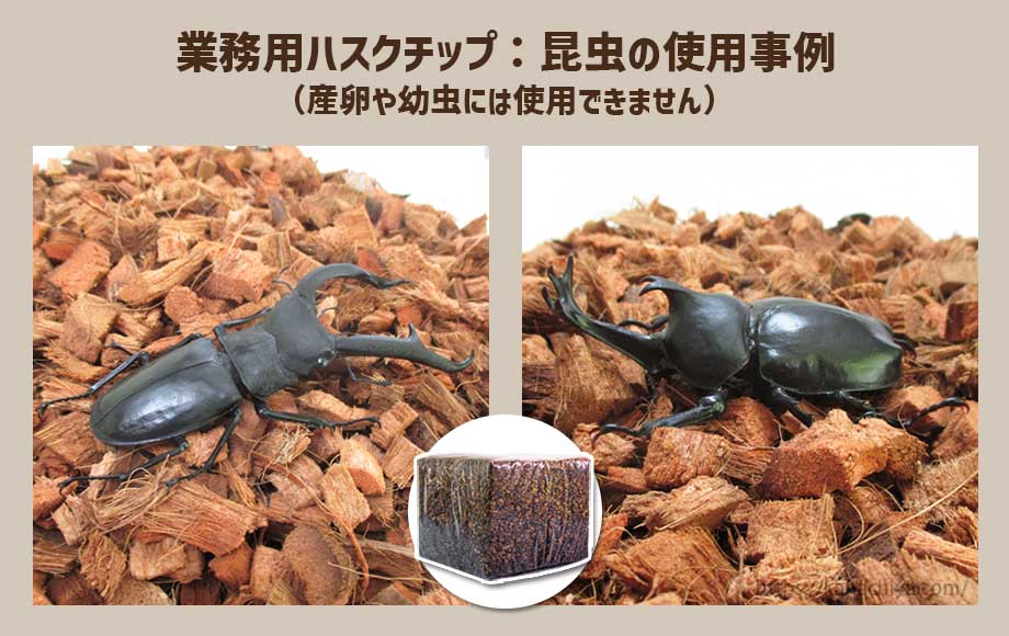 業務用ハスクチップ：昆虫の使用事例1