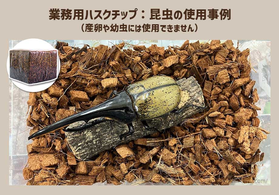 業務用ハスクチップ：昆虫の使用事例2