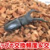 ハスクチップ（クワガタの床材）の交換頻度＆交換時期