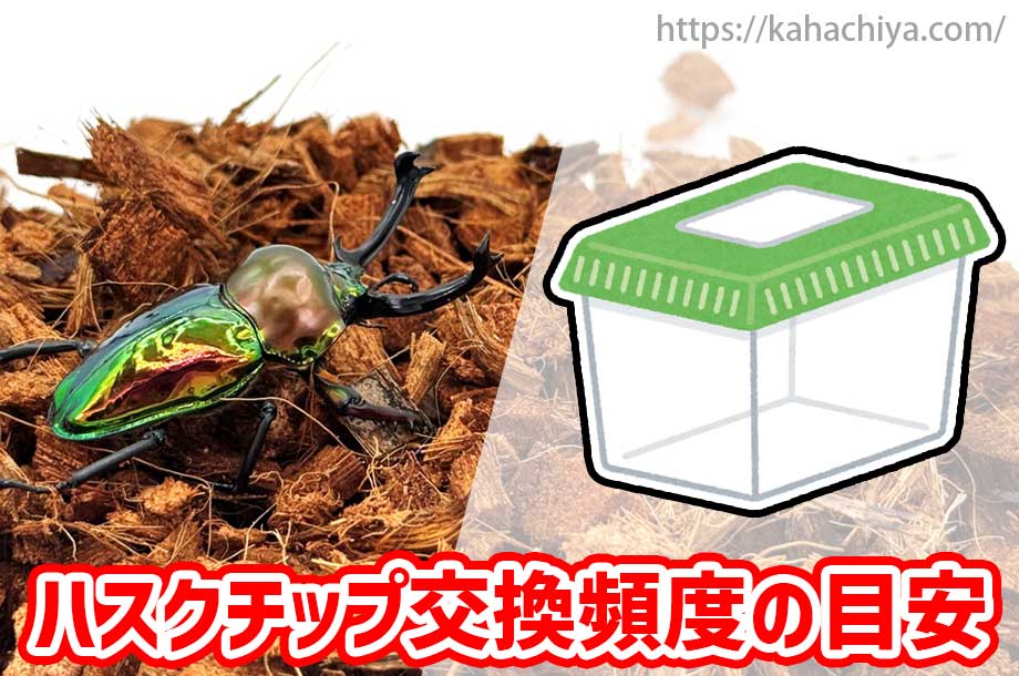 ハスクチップ交換頻度の目安