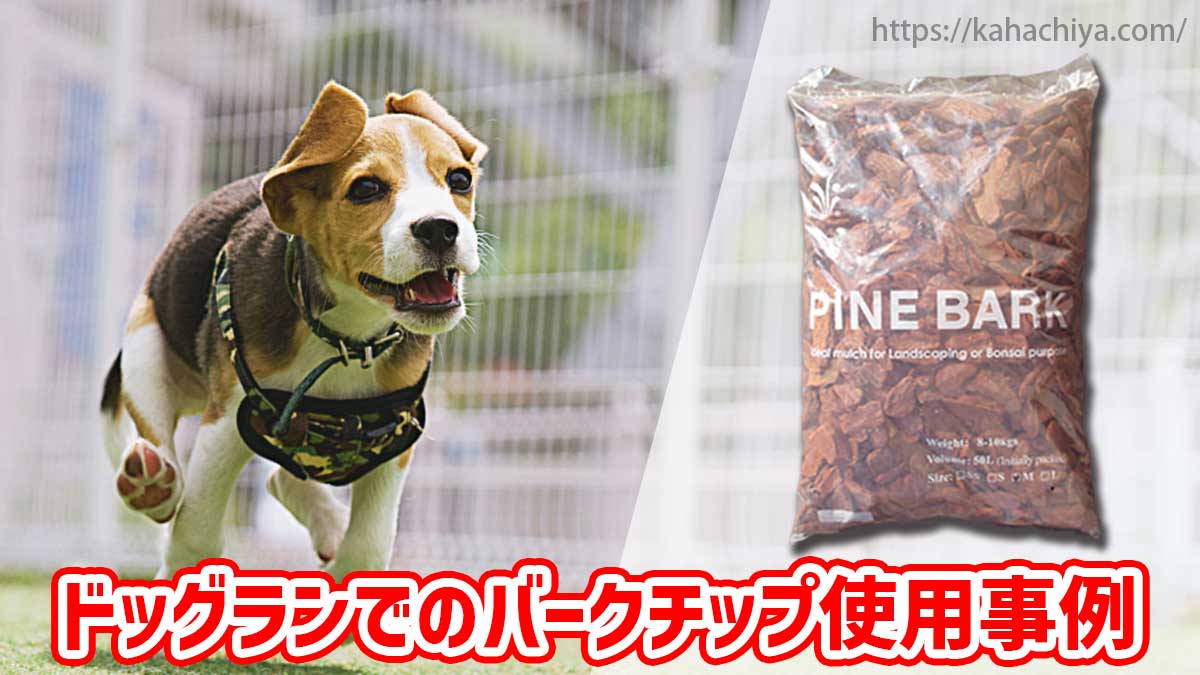 ドッグランでのバークチップ使用事例